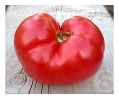 Семена томата "Итальянский сладкий"