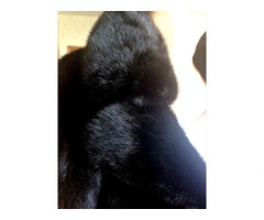Норковая шуба новая! - Фото 7/7